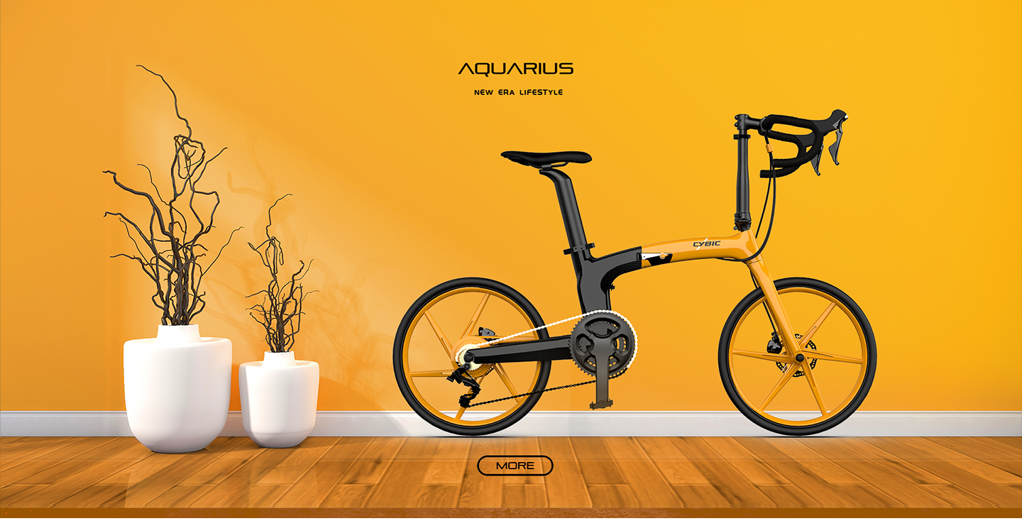 cybic bikes